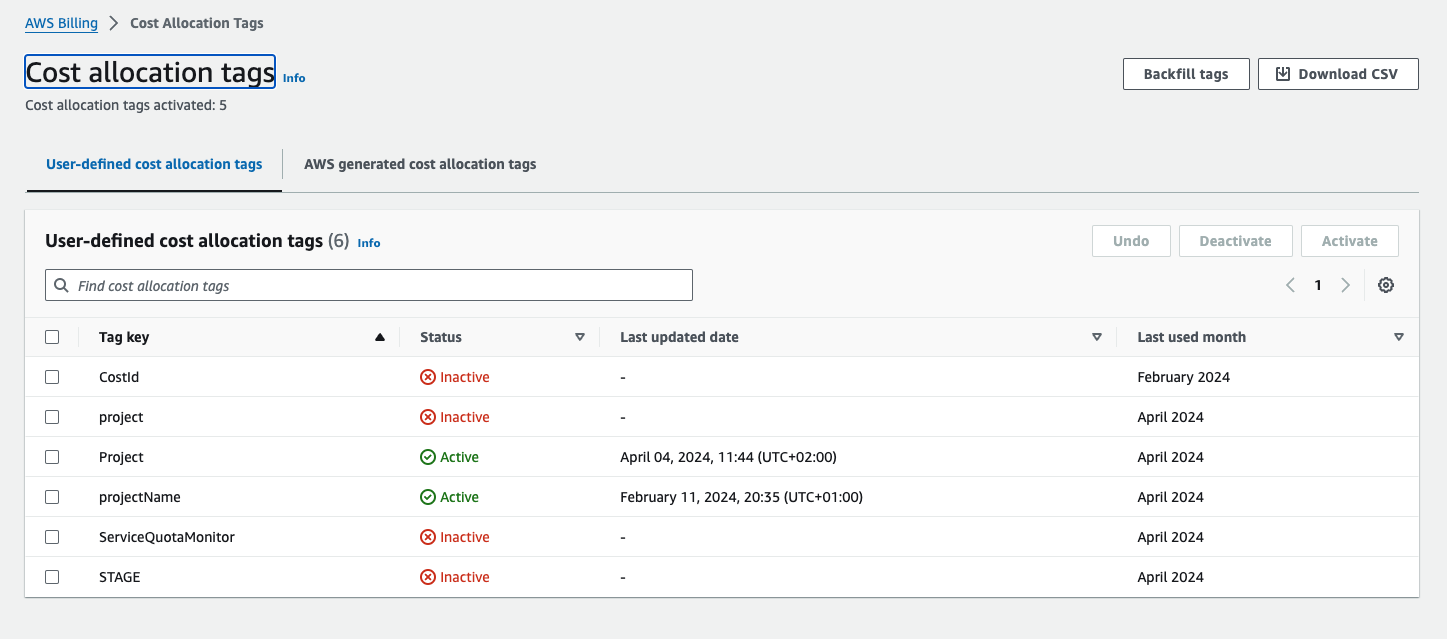 User-defined cost allocation tags