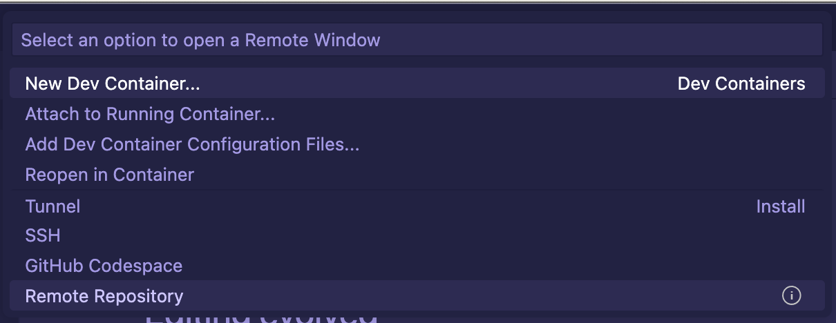 Dev Containers options